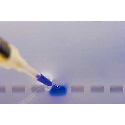 Barwniki do elektroforezy VWR Nucleic acid loading dye