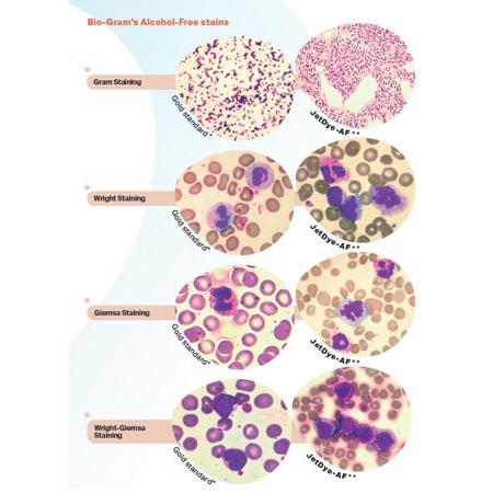 Barwniki do mikrobiologii biogram JetDye-AF