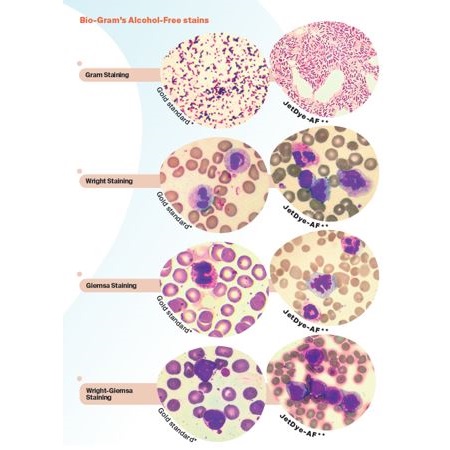 Barwniki histopatologiczne - do histologii biogram JetDye-AF