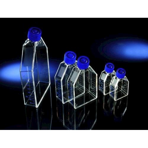 Butle, kanistry i butelki laboratoryjne Gerhardt hodowlane EasyFlask