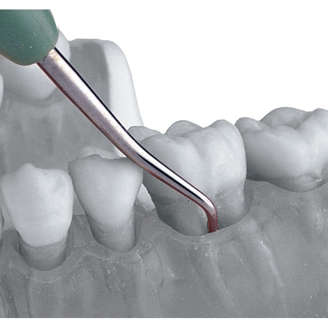Ekskawatory stomatologiczne LM-Instruments Action