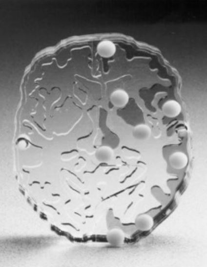 Fantomy do medycyny nuklearnej DSC 2D Hoffman