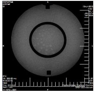 Fantomy do rezonansu magnetycznego Pro-Project Pro-MRI