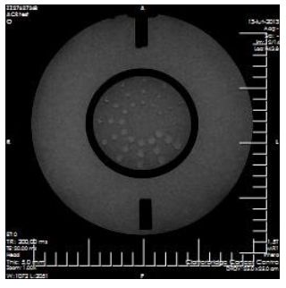 Fantomy do rezonansu magnetycznego Pro-Project Pro-MRI