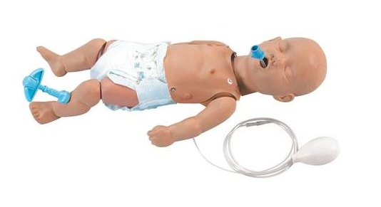 Fantomy szkoleniowe 3B Scientific W44608