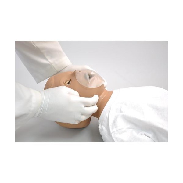 Fantomy szkoleniowe 3B Scientific W45047