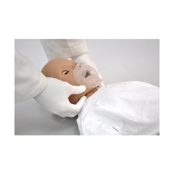 Fantomy szkoleniowe 3B Scientific W45047