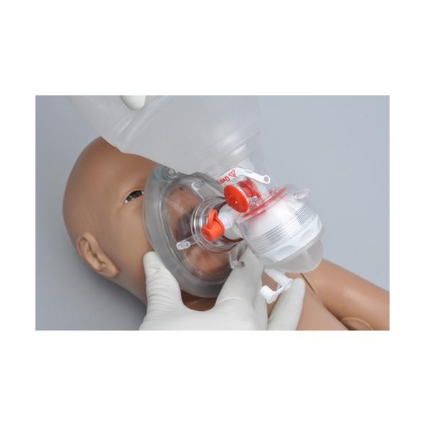 Fantomy szkoleniowe 3B Scientific W45137