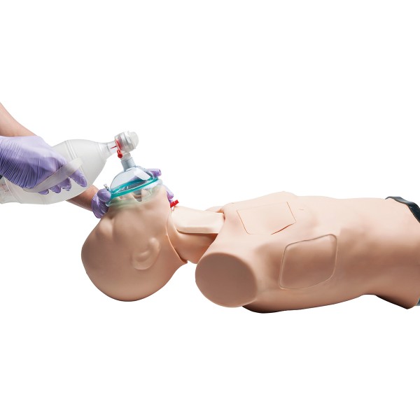 Fantomy szkoleniowe 3B Scientific W45207