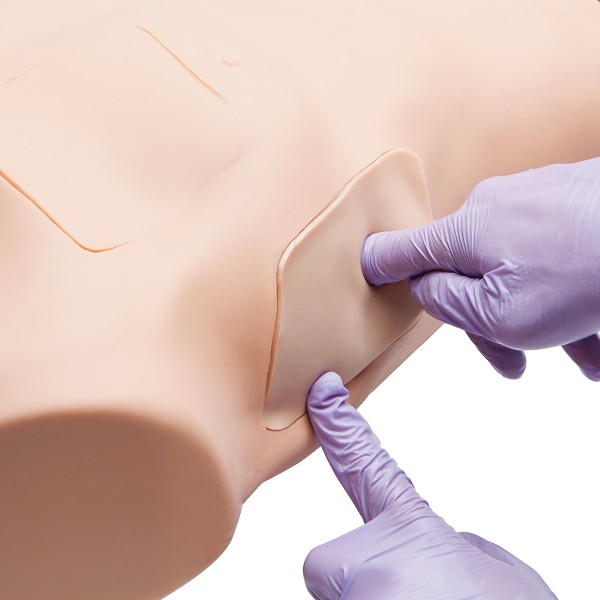 Fantomy szkoleniowe 3B Scientific W45207