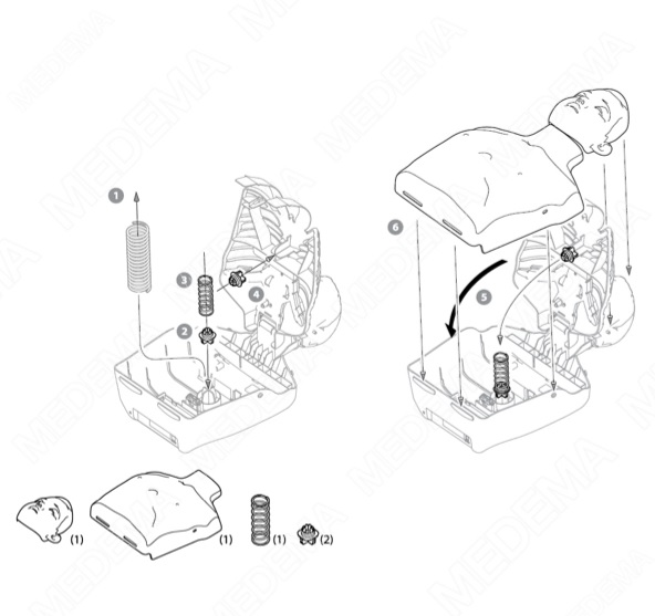 Fantomy szkoleniowe Innosonian BRAYDEN Junior