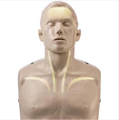 Fantomy szkoleniowe Innosonian BRAYDEN LED