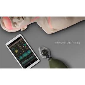 Fantomy szkoleniowe Innosonian Brayden PRO