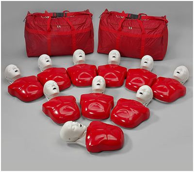 Fantomy szkoleniowe Nasco Basic Buddy