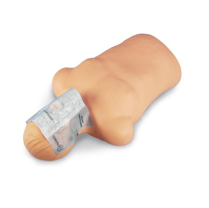 Fantomy szkoleniowe Nasco BRAD CPR