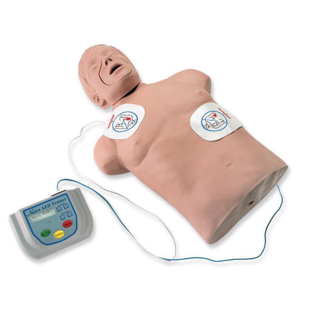 Fantomy szkoleniowe Nasco BRAD CPR