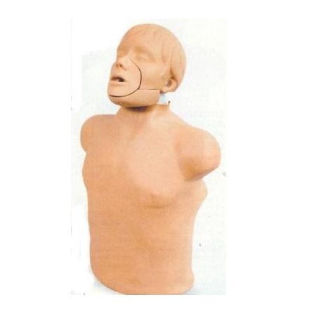 Fantomy szkoleniowe Nasco BRAD JT