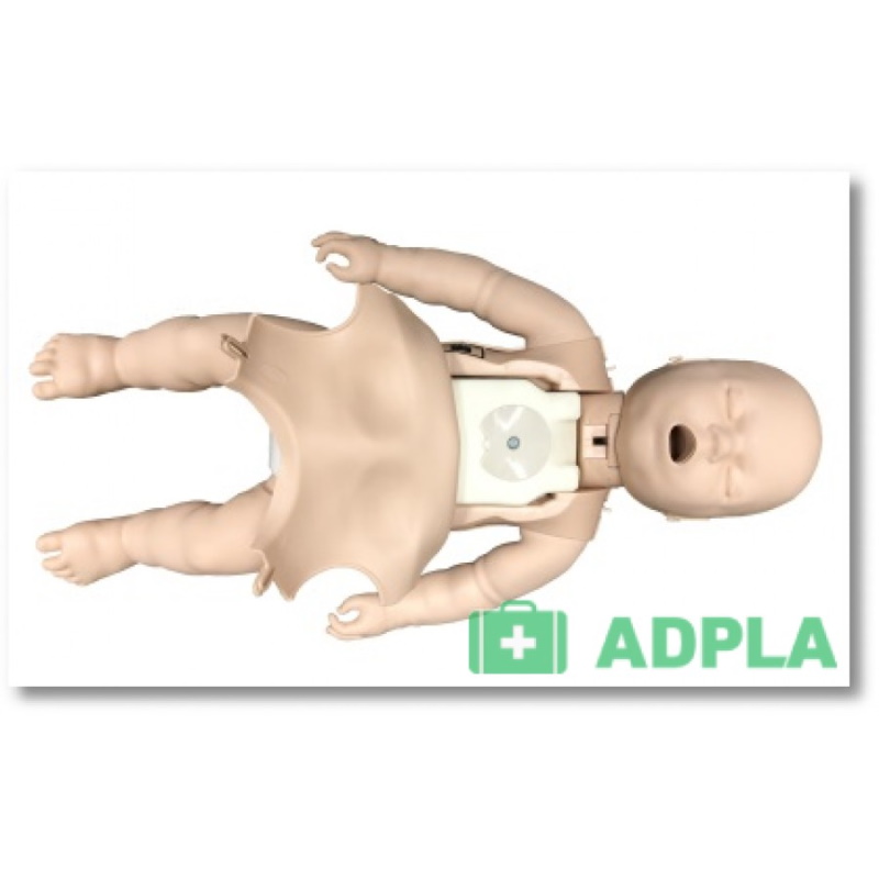 Fantomy szkoleniowe Prestan Products PP-IM-100-MS