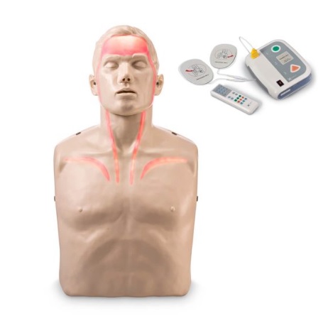 Fantomy szkoleniowe - zestawy Innosonian Brayden + XFT-120C+