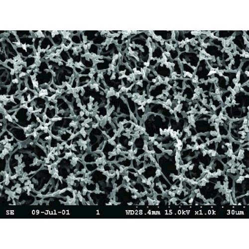 Filtry membranowe GE Healthcare Klasa NC azotan celulozy