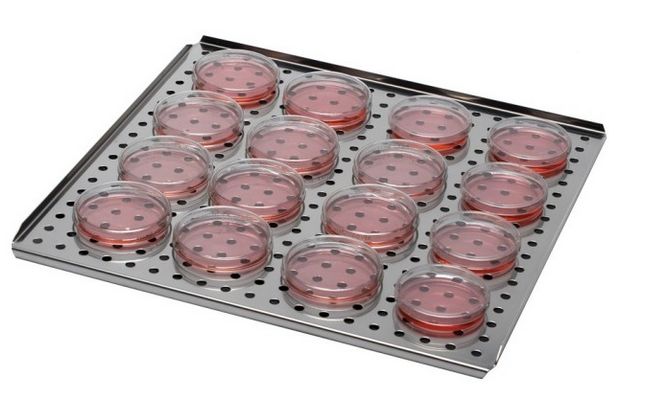 Inkubatory CO2 NuAire Laboratory Equipment Supply NU-5820E, NU-5720E In-vitroCell