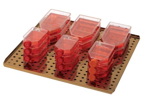 Inkubatory CO2 NuAire Laboratory Equipment Supply NU-5841E, NU-5741E In-vitroCell