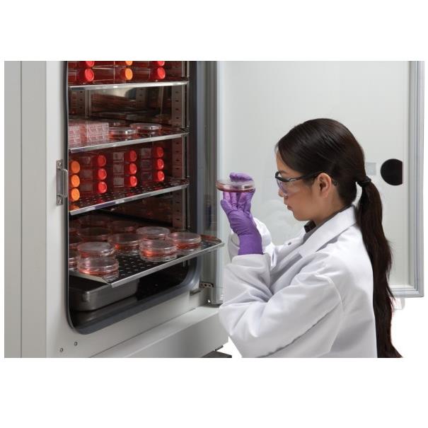 Inkubatory CO2 NuAire Laboratory Equipment Supply NU-8600E, NU-8631E