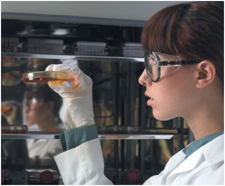 Inkubatory CO2 NuAire Laboratory Equipment Supply NU-8700E