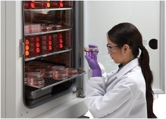 Inkubatory CO2 NuAire Laboratory Equipment Supply NuAire NU-5831E, NU-5731E In-vitroCell