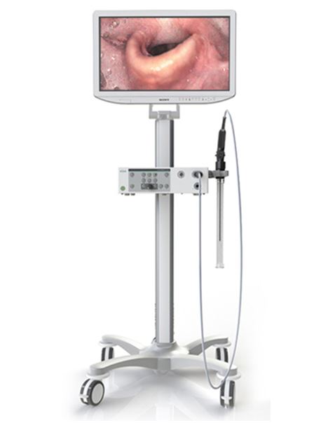 Kamery endoskopowe XION Matrix EL