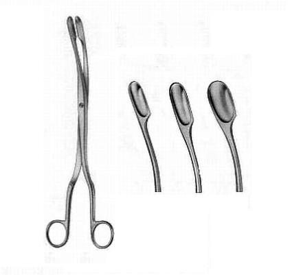 Kleszcze chirurgiczne i zabiegowe GAMA s. c. - dystrybutor importer Kleszczyki Winter zagięte