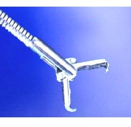 Kleszcze chwytające do endoskopów giętkich Kangjin Medical Instrument Jednorazowe kleszcze chwytające