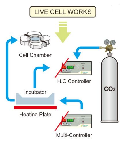 Komory laminarne N-BIOTEK LICES (NB-801LCS)
