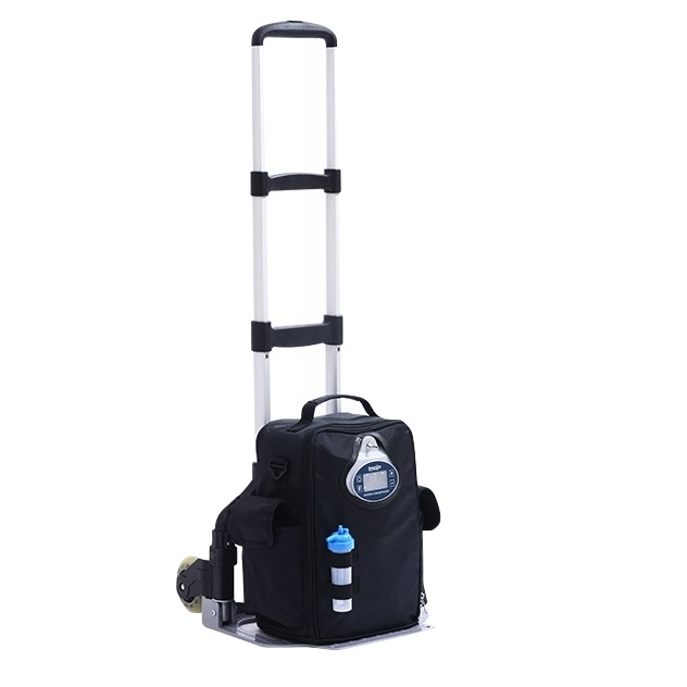 Koncentratory tlenu LOVEGO G2