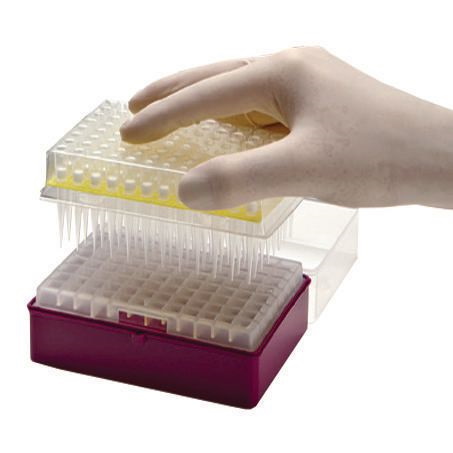 Końcówki do pipet VWR Next Generation refill, niska retencja, filtracyjne