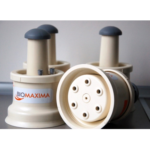 Krążki antybiotykowe BIOMAXIMA KRĄŻKI ANTYBIOTYKOWE