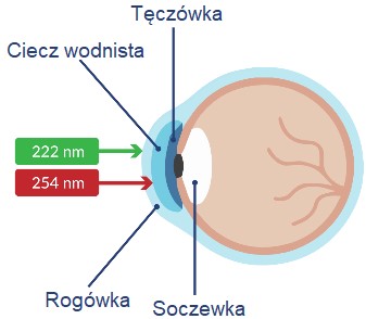 Lampy bakteriobójcze bezpośrednie UV Medico UV222