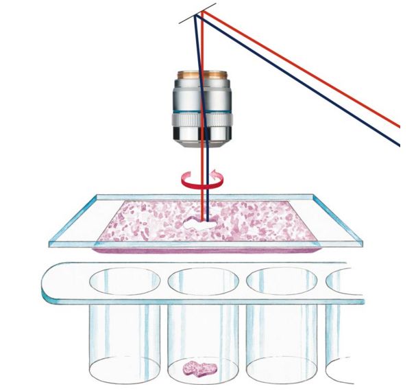 Laserowa mikrodysekcja LEICA LMD7
