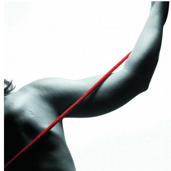 Linki do terapii w podwieszeniu Redcor Komplet linek do Terapii Master elastycznych - mały opór