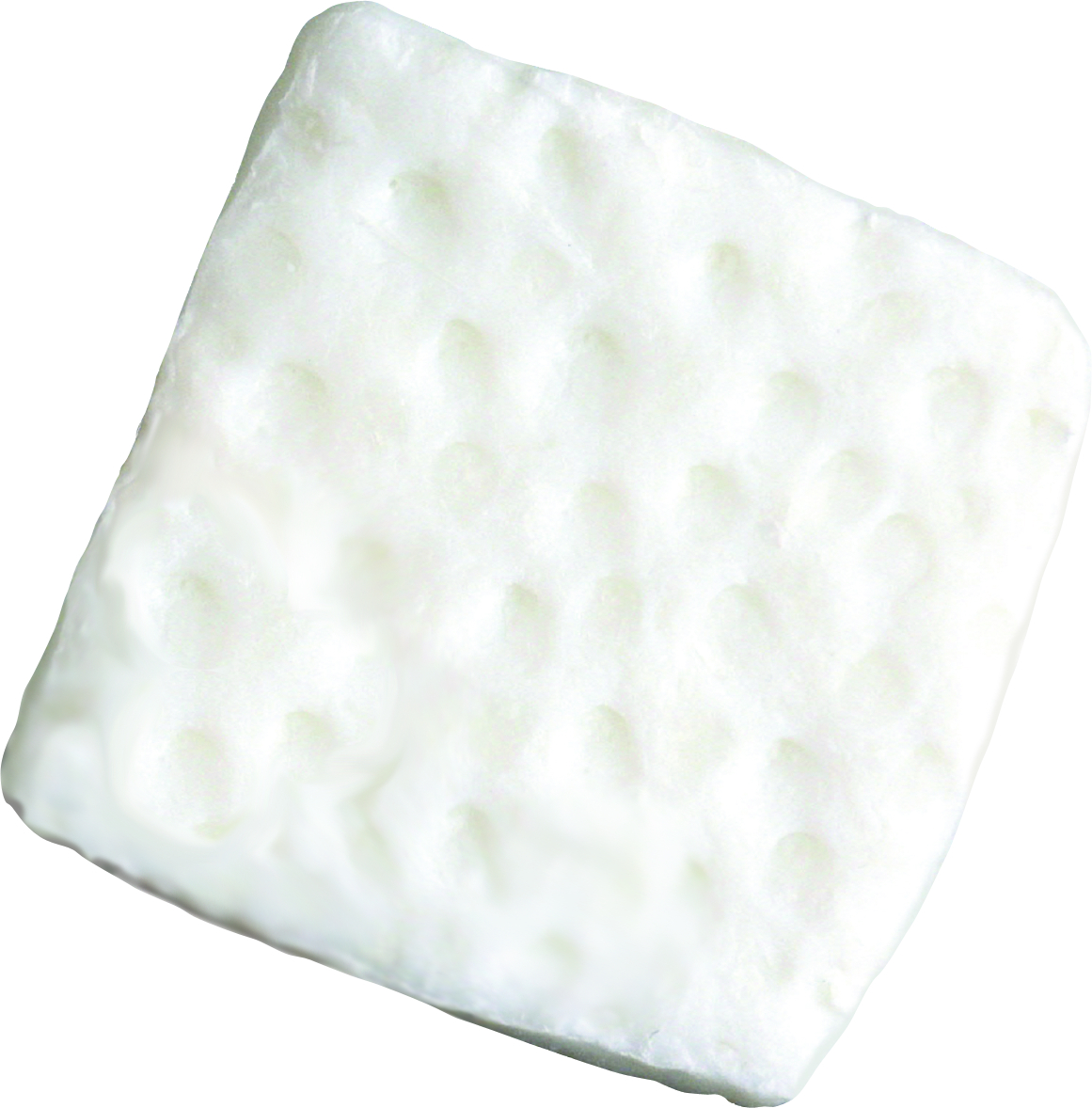 Membrany stomatologiczne Tecnoss Derma