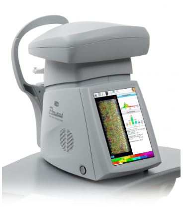 Mikroskopy endotelialne (spekularne) CSO PERSEUS