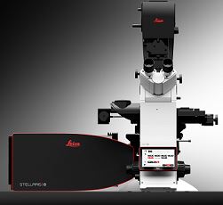 Mikroskopy konfokalne LEICA STELLARIS