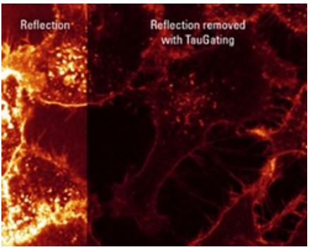 Mikroskopy konfokalne LEICA STELLARIS