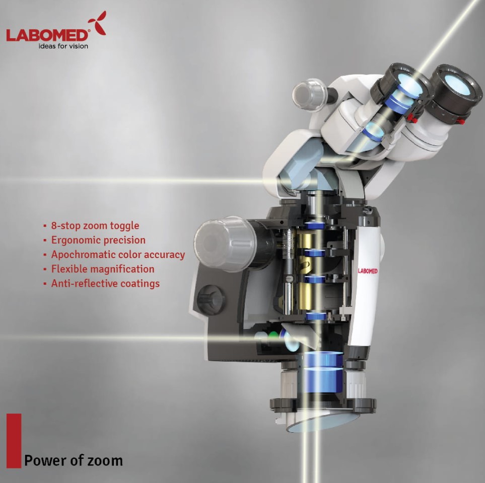 Mikroskopy stomatologiczne Labomed Magna NuVar 10