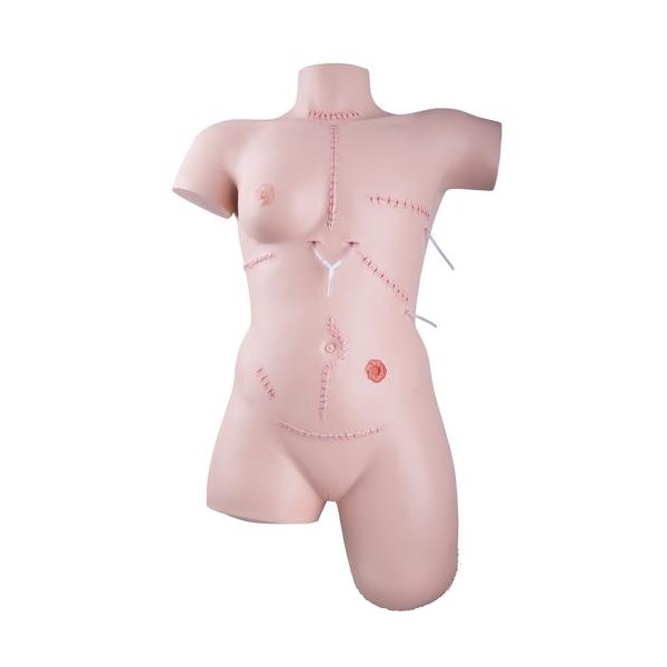 Modele / Manekiny pielęgnacyjne - dorośli 3B Scientific P100