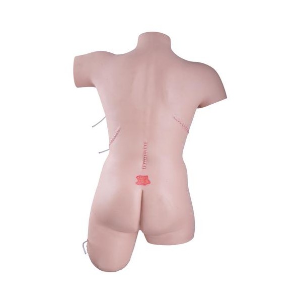 Modele / Manekiny pielęgnacyjne - dorośli 3B Scientific P100