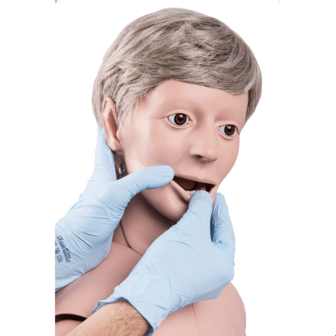 Modele / Manekiny pielęgnacyjne - dorośli 3B Scientific P10/1