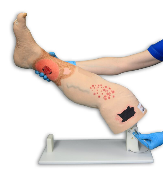 Modele / Manekiny pielęgnacyjne - dorośli 3B Scientific R11020
