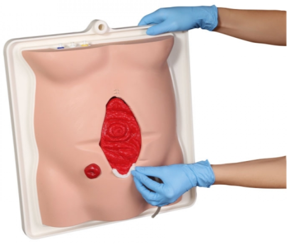 Modele / Manekiny pielęgnacyjne - dorośli 3B Scientific R11050