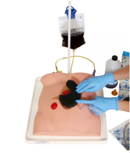 Modele / Manekiny pielęgnacyjne - dorośli 3B Scientific R11050